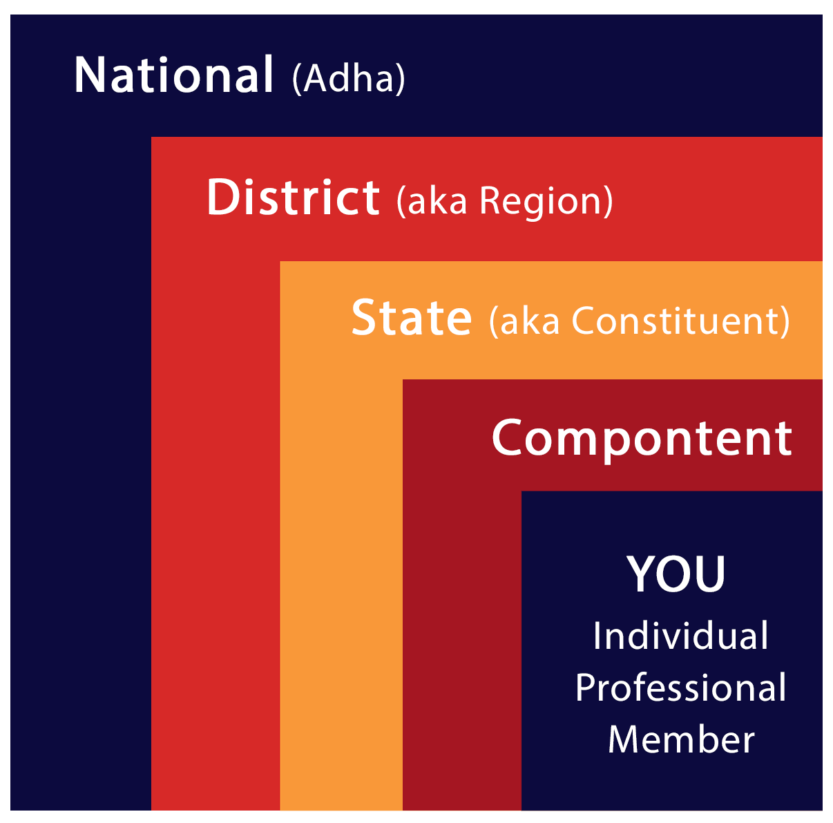 Organizational Structure